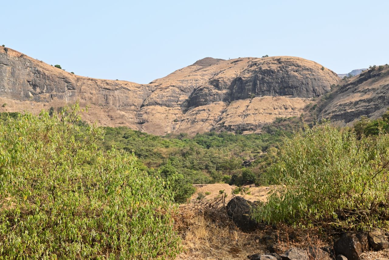 Tranquil summer landscape of hills and green plants in Nashik, India.
